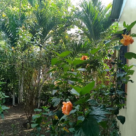 The Malinche Hostal Rivas Bagian luar foto