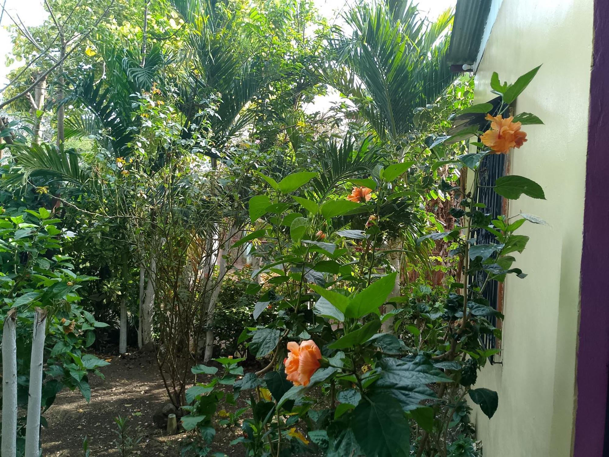 The Malinche Hostal Rivas Bagian luar foto